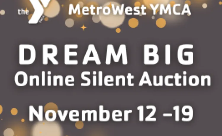 graphic promoting dream big online silent auction