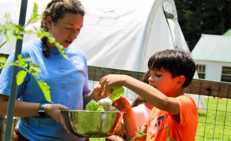 image of y staff and boy harvesting vegetables in the garden