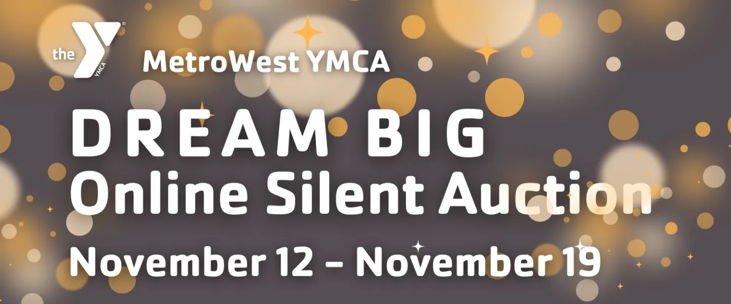 dream big online silent auction