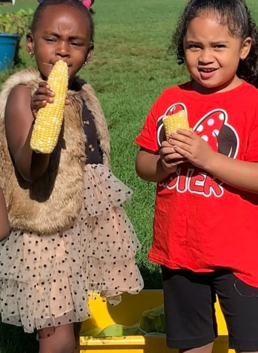 image of four little girls holding pieces of corn on the cob