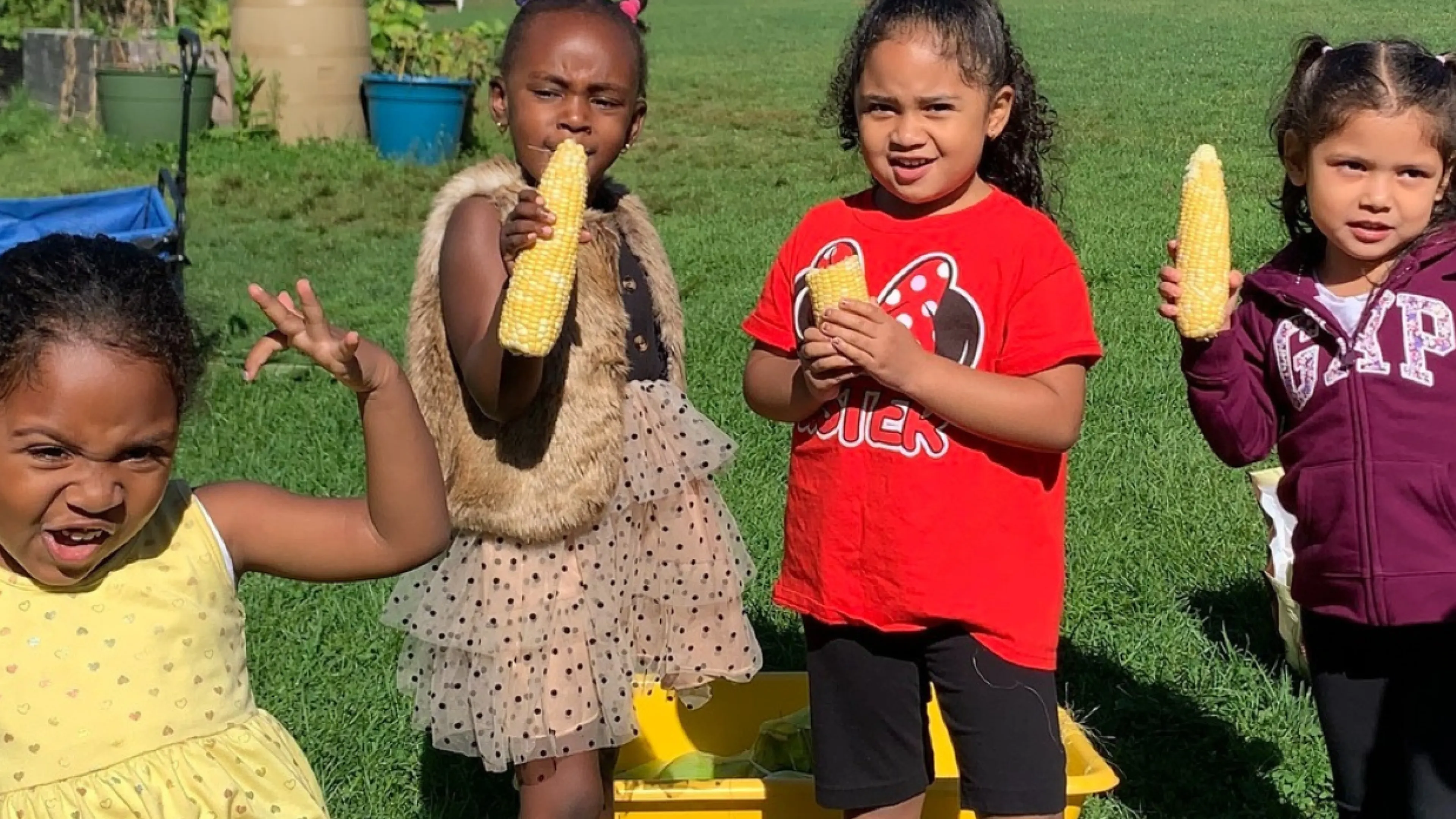 image of four little girls holding pieces of corn on the cob