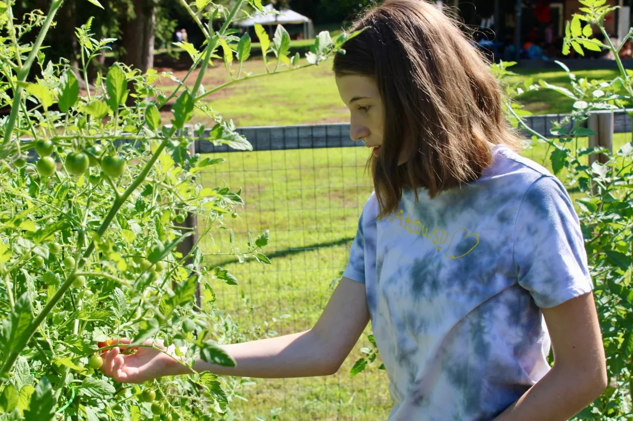 photo of girl picking veggies in a garden