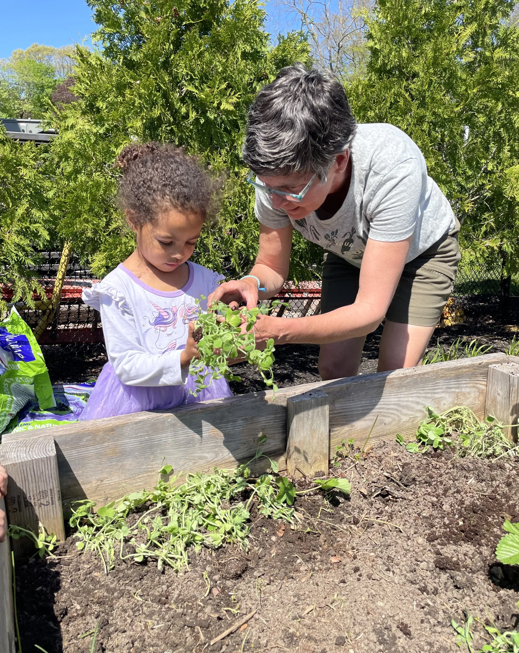 image of teacher helping young girl planting in a garden