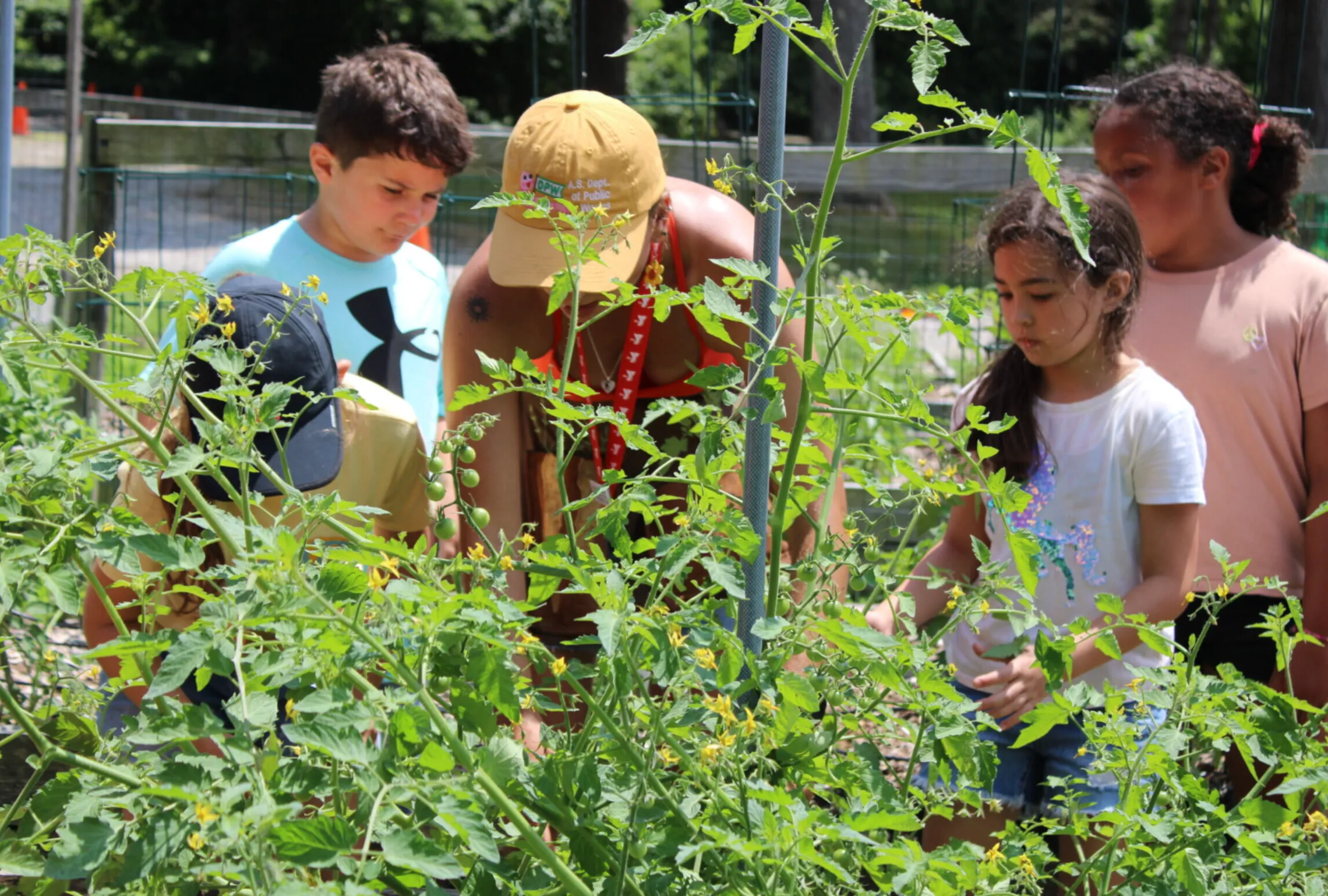 Farm to School Coordinator, Lindsey, shows campers how to choose ripe vegetables to pick in the garden